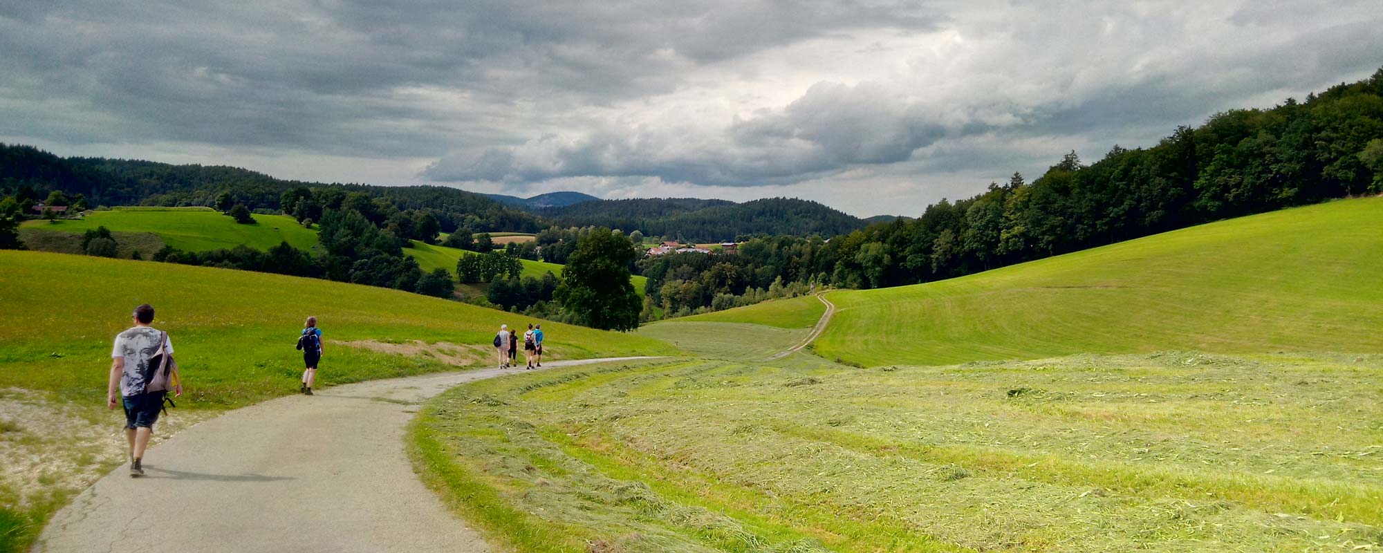 Wandern in der Urlaubsregion Bayerischer Wald